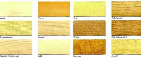 Выбор породы древесины для обжига 