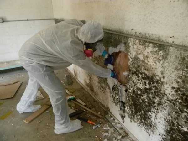 Чтобы избавиться от плесени на стенах часто приходится удалять отделочные материалы